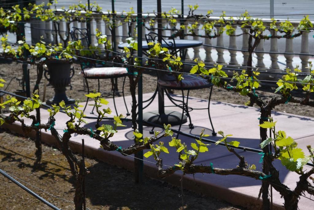 Chardonnay Lodge Napa Exterior photo