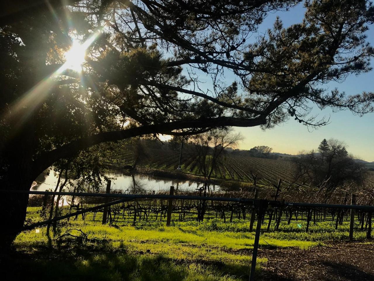 Chardonnay Lodge Napa Exterior photo