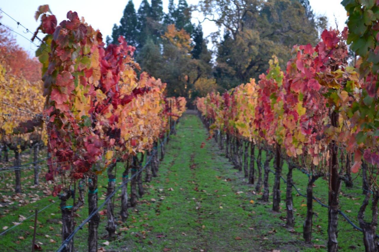 Chardonnay Lodge Napa Exterior photo
